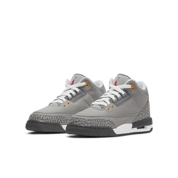 Air Jordan 3 Retro Cool Grey (2021) (GS) 398614-012