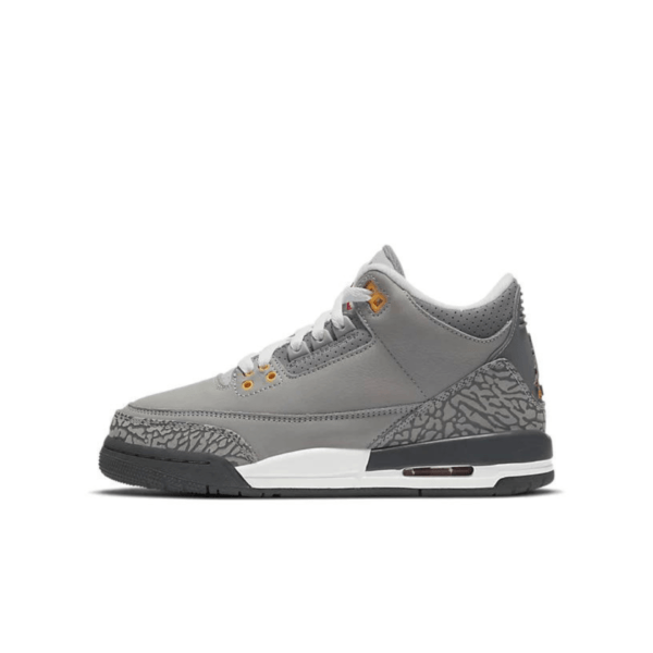 Air Jordan 3 Retro Cool Grey (2021) (GS) 398614-012