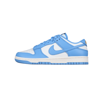 Nike Dunk Low Coast - DD1503-100