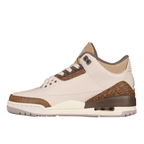 Air Jordan 3 Retro 'Palomino' CT8532 102