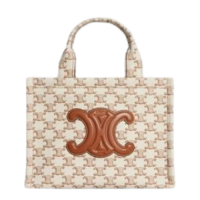 Celine Small Cabas Thais In Triomphe Canvas 199162EZ6.01BC