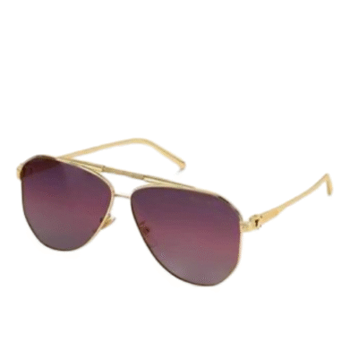 Louis Vuitton Elegant & Signature Sunglasses (Catalog)