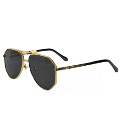Louis Vuitton Elegant & Signature Sunglasses (Catalog 6)
