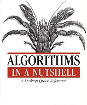 Algorithms In A Nutshell eBook