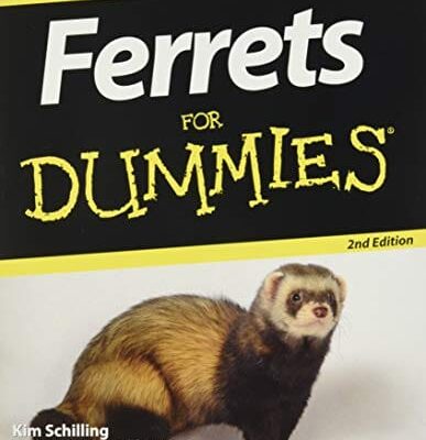 Ferrets For Dummies 2nd Edition