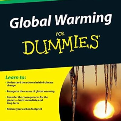 Global Warming For Dummies