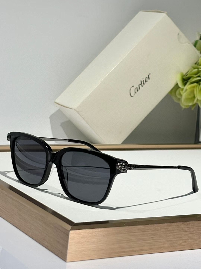 CARTIER - CT0210 - 54-15-145
