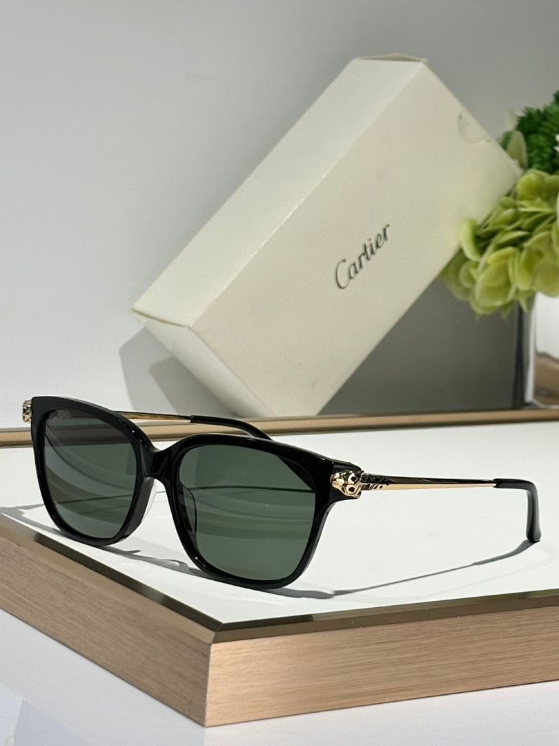 CARTIER - CT0210 - 54-15-145 - Image 2