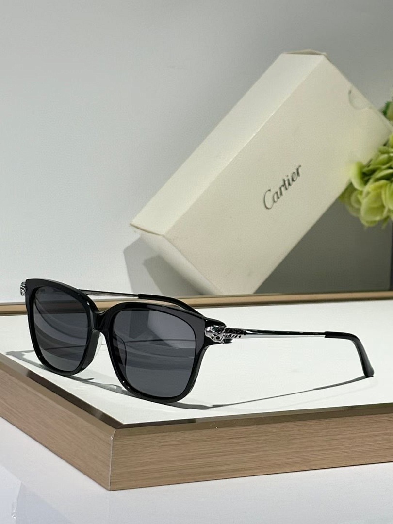CARTIER - CT0210 - 54-15-145 - Image 3