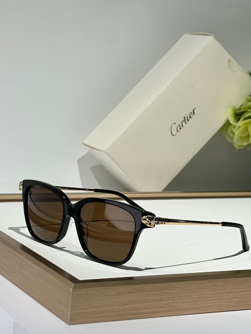 CARTIER - CT0210 - 54-15-145 - Image 4