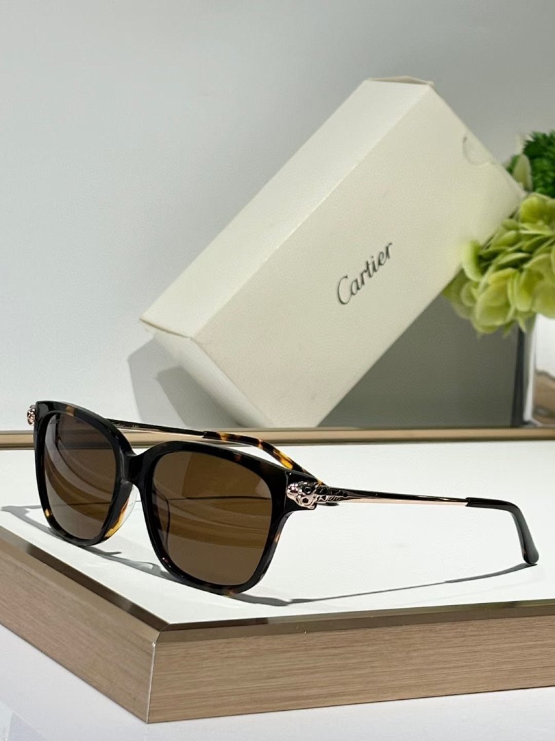 CARTIER - CT0210 - 54-15-145 - Image 6