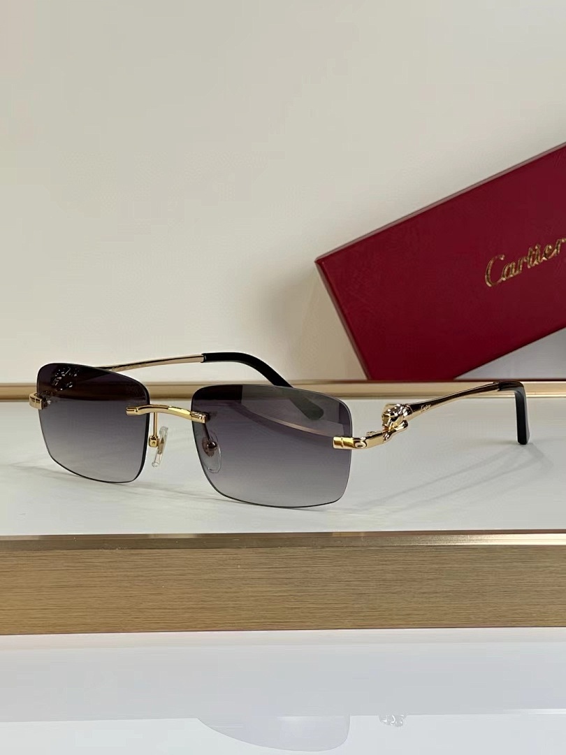 CARTIER - CT0290 - 55-19-145 - Image 6