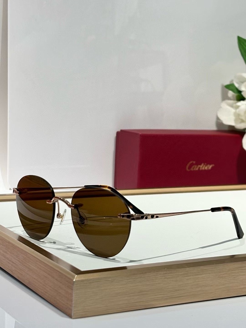 CARTIER - CT0309 - 52-18-145 - Image 5