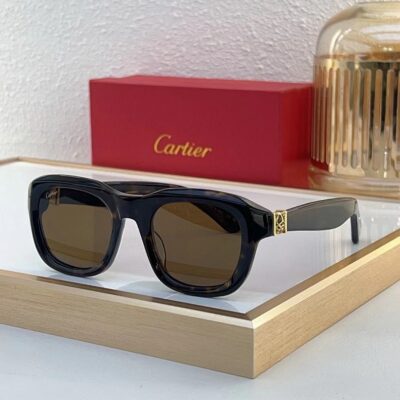 CARTIER - CT0317 - 51-22-145