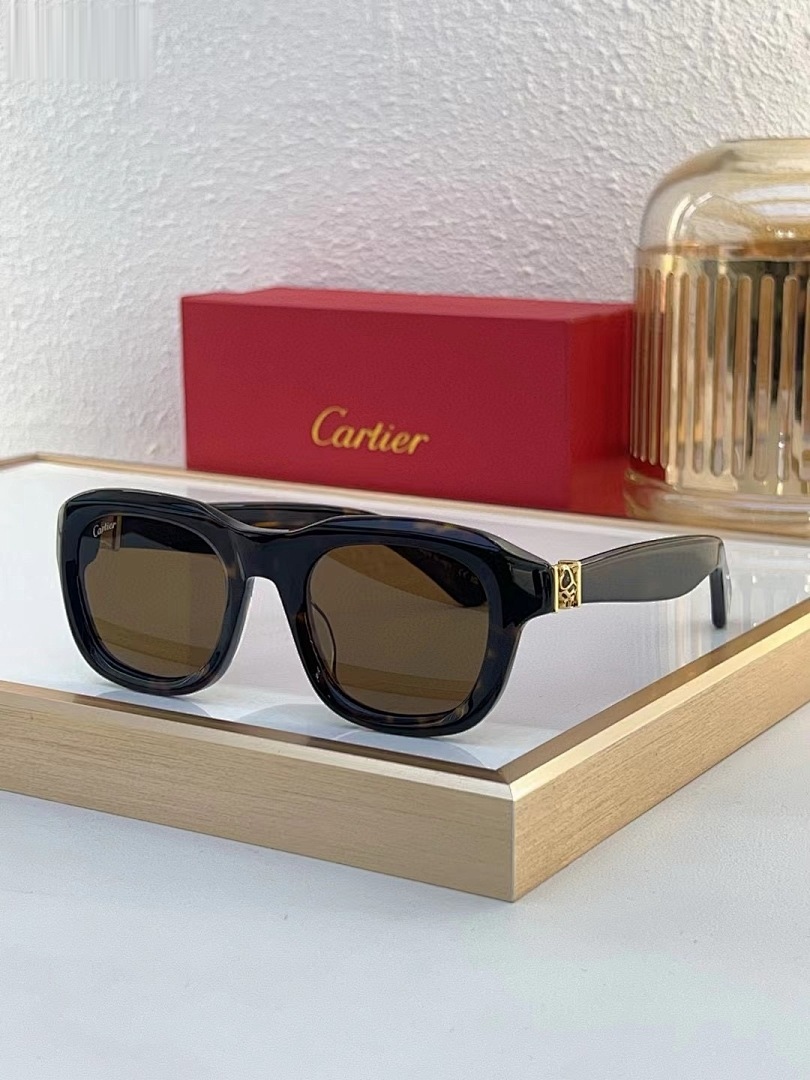 CARTIER - CT0317 - 51-22-145