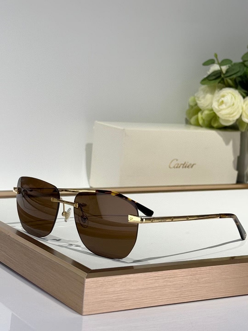 CARTIER - CT0336 - 58-17-145