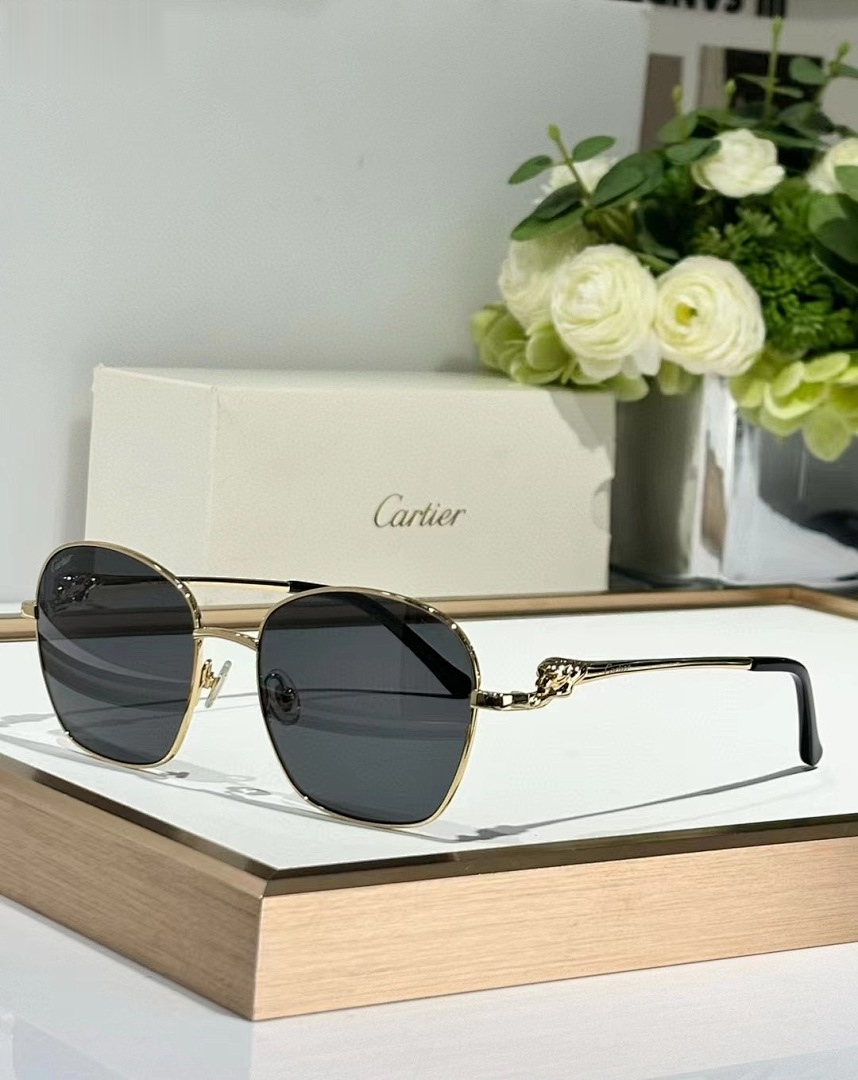 CARTIER - CT0371 - 56-18-140