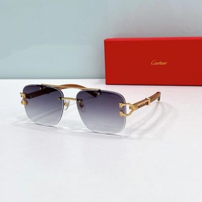 CARTIER - CT0383 - 60-17-145