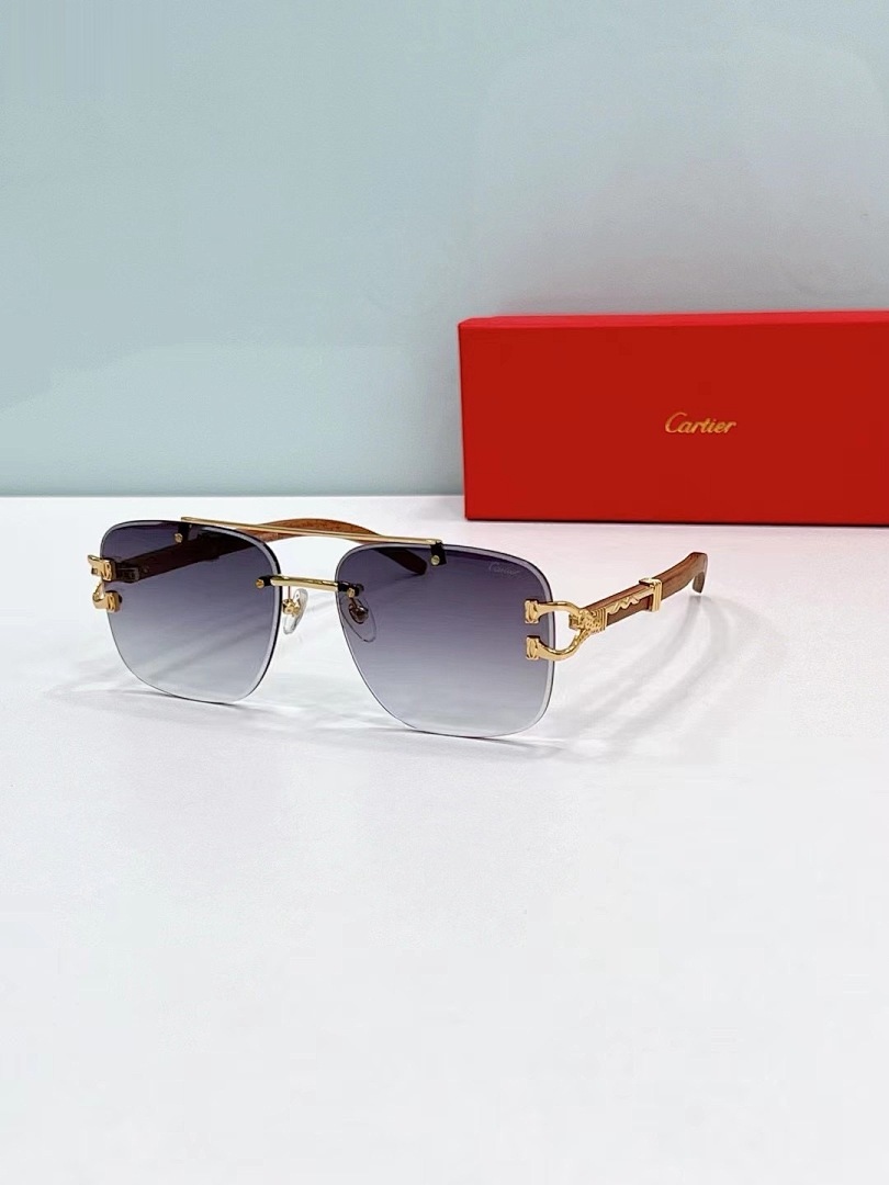 CARTIER - CT0383 - 60-17-145
