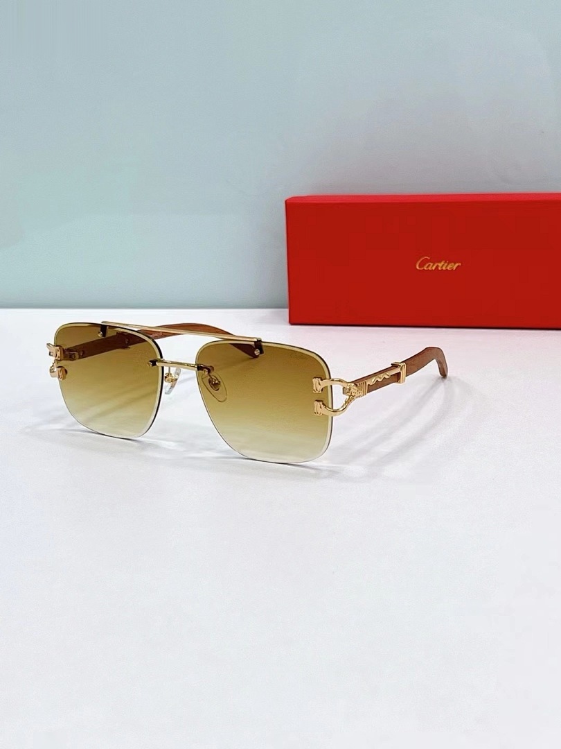 CARTIER - CT0383 - 60-17-145 - Image 2