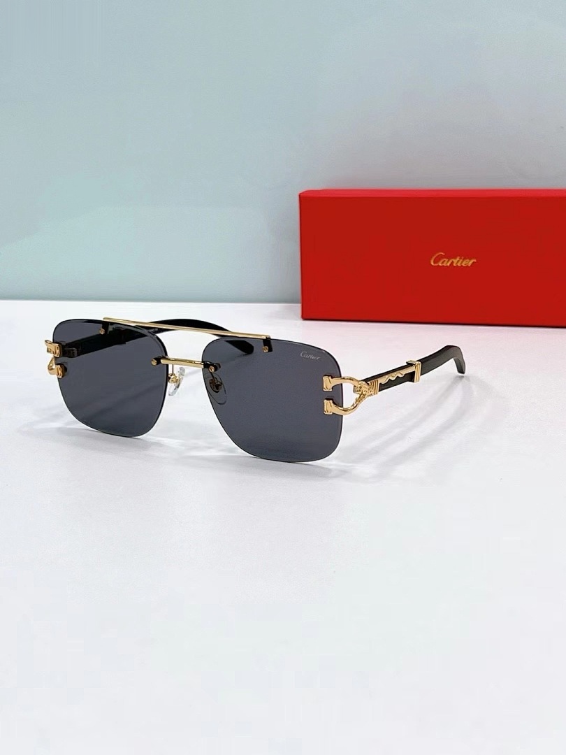 CARTIER - CT0383 - 60-17-145 - Image 3