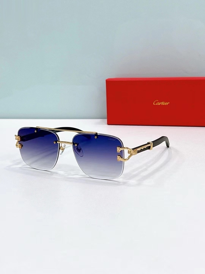 CARTIER - CT0383 - 60-17-145 - Image 4