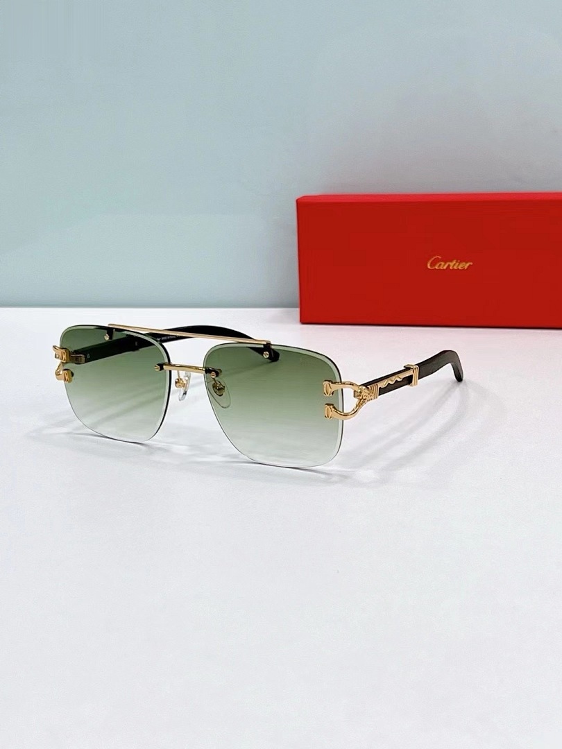 CARTIER - CT0383 - 60-17-145 - Image 5