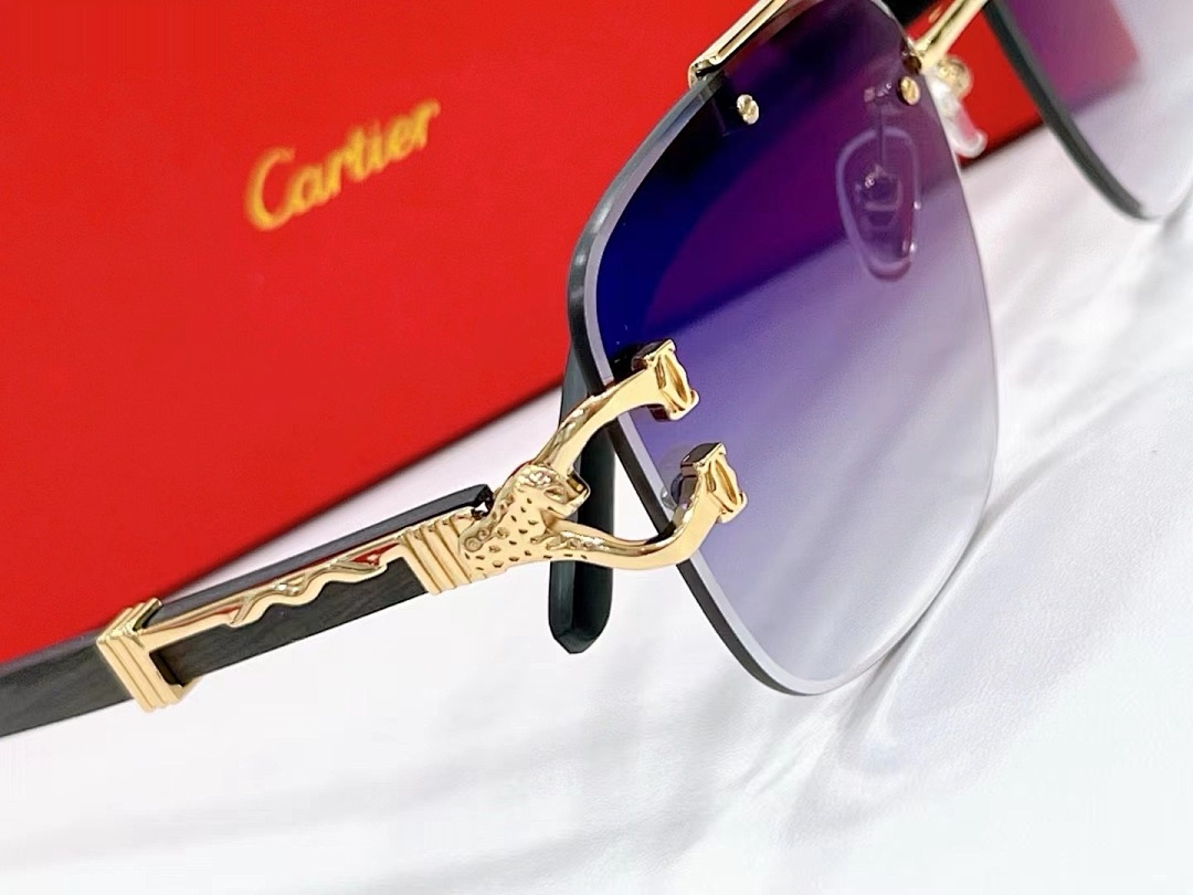 CARTIER - CT0383 - 60-17-145 - Image 6