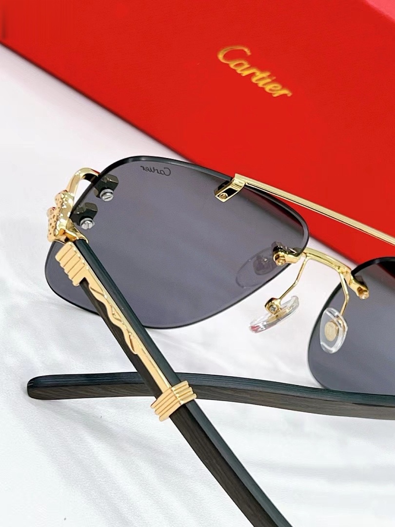CARTIER - CT0383 - 60-17-145 - Image 7