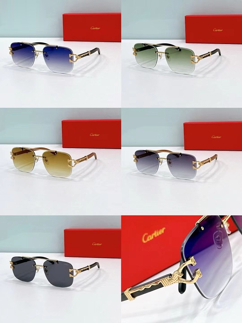 CARTIER - CT0383 - 60-17-145 - Image 8