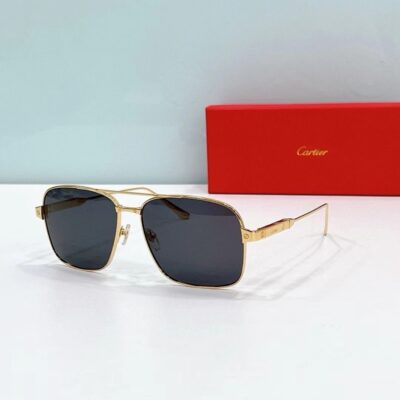 CARTIER - CT0419 - 58-17-145
