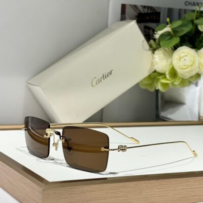 CARTIER - CT0422 - 54-20-145