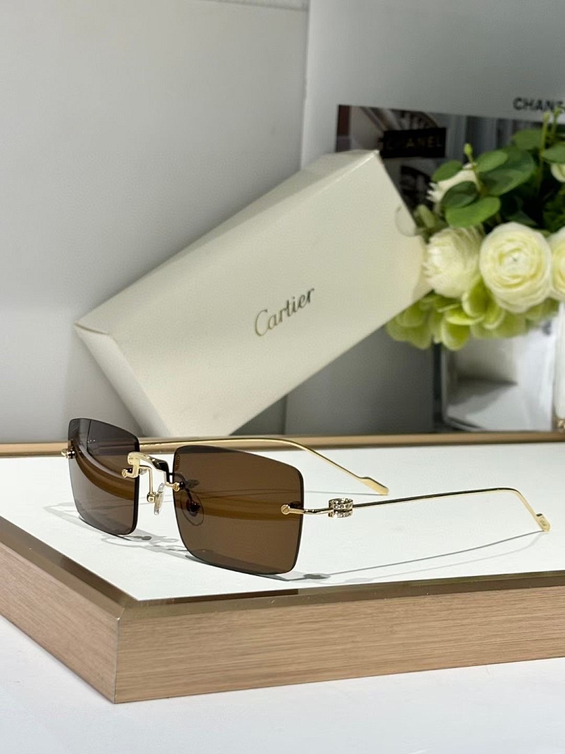 CARTIER - CT0422 - 54-20-145