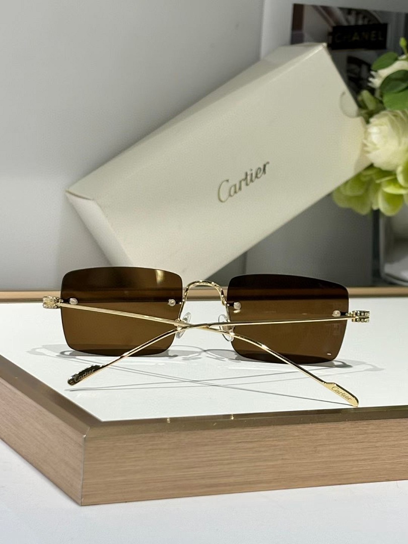 CARTIER - CT0422 - 54-20-145 - Image 7