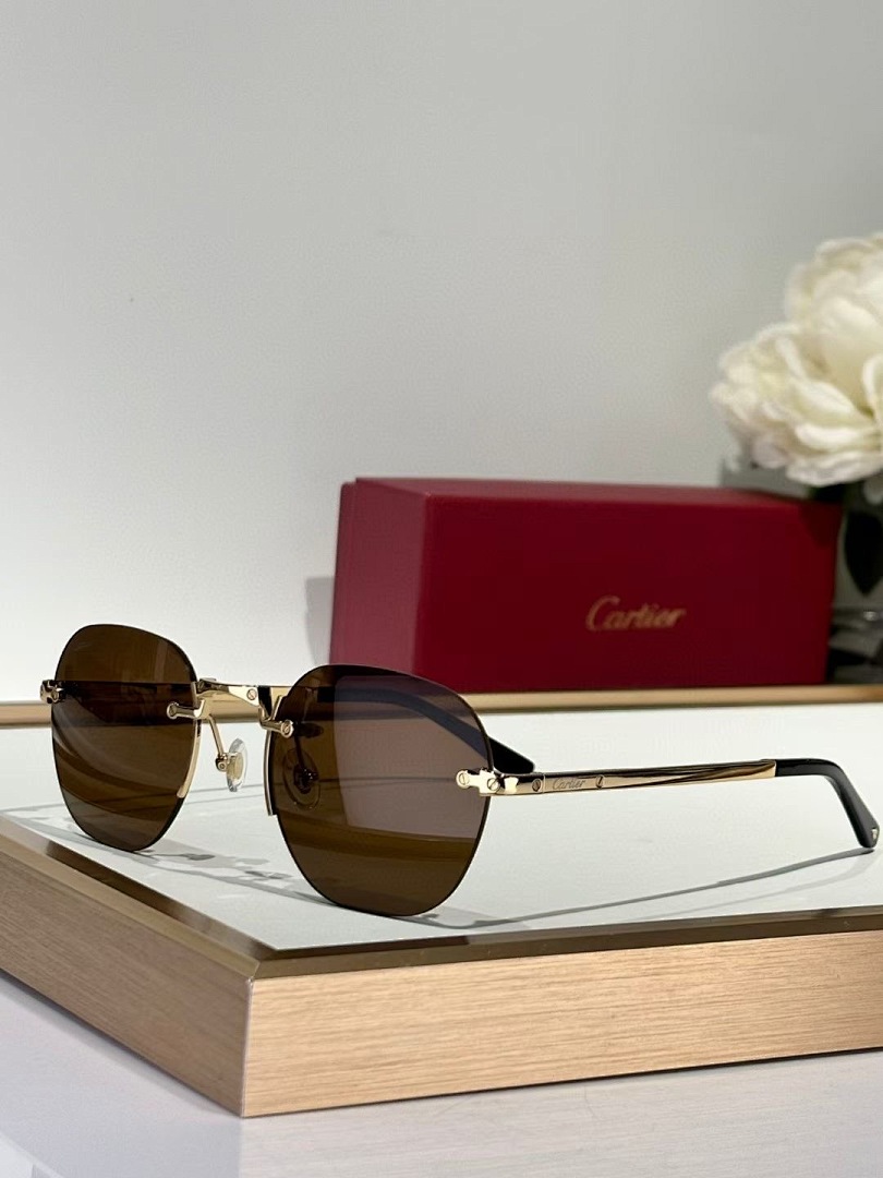 CARTIER - CT0478 - 53-21-145 - Image 3