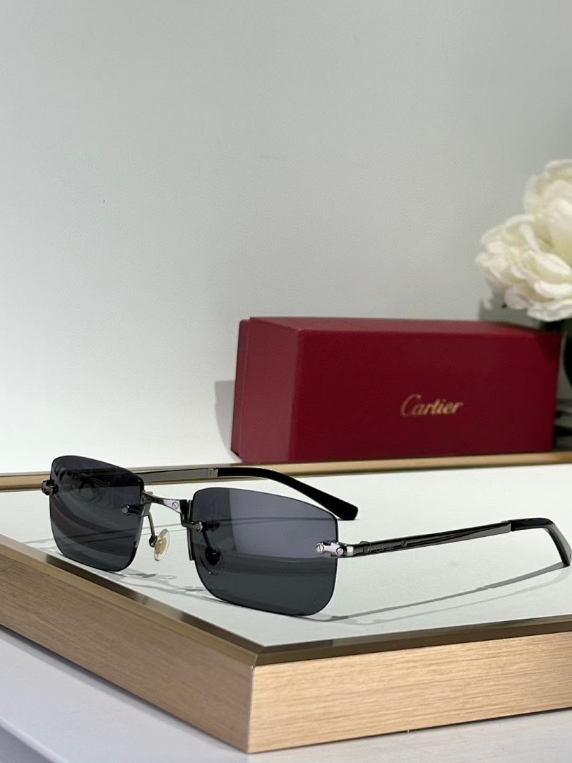 CARTIER - CT0479 - 54-21-145