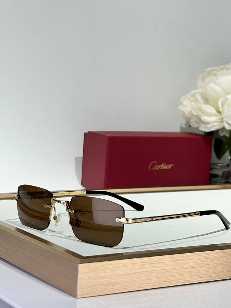 CARTIER - CT0479 - 54-21-145 - Image 5