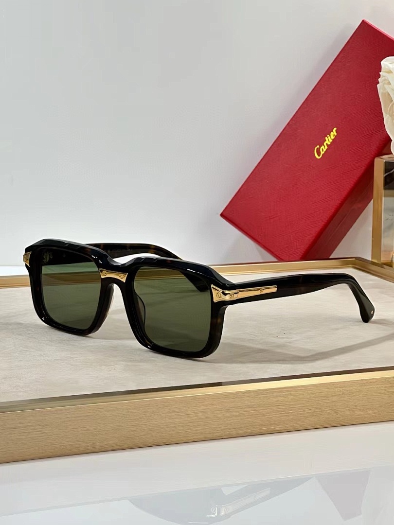 CARTIER - CT0482 - 55-19-145 - Image 2