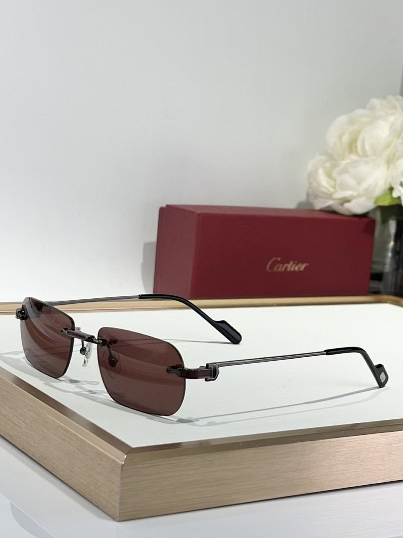 CARTIER - CT0498 - 55-20-145