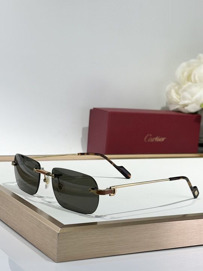 CARTIER - CT0498 - 55-20-145 - Image 5