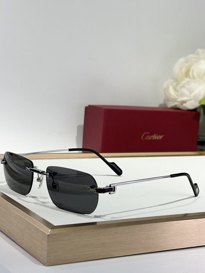 CARTIER - CT0498 - 55-20-145 - Image 6