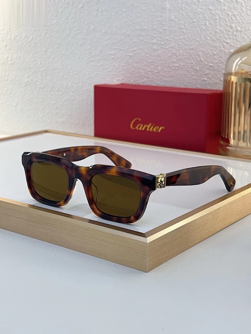 CARTIER - CT0508 - 52-23-145 - Image 2