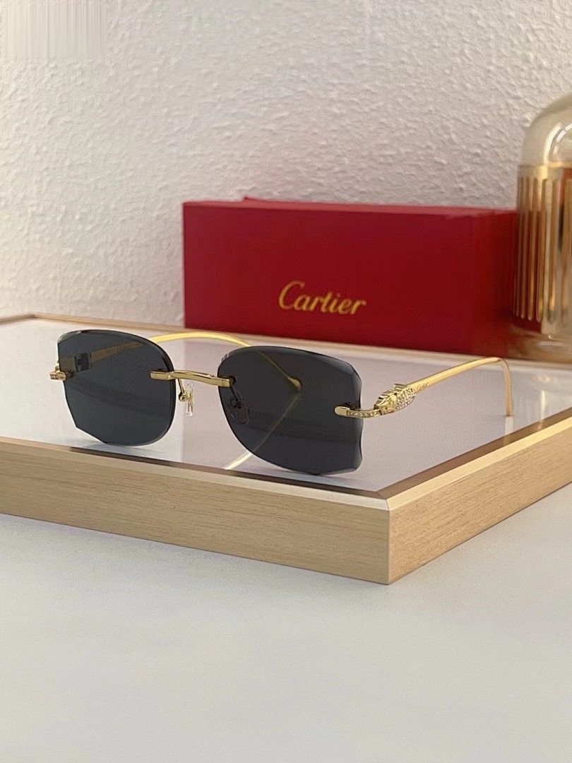 CARTIER - CT0517 - 57-18-145
