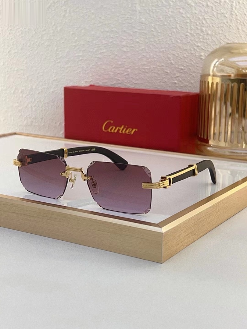 CARTIER - CT0534 - 59-20-145 - Image 2