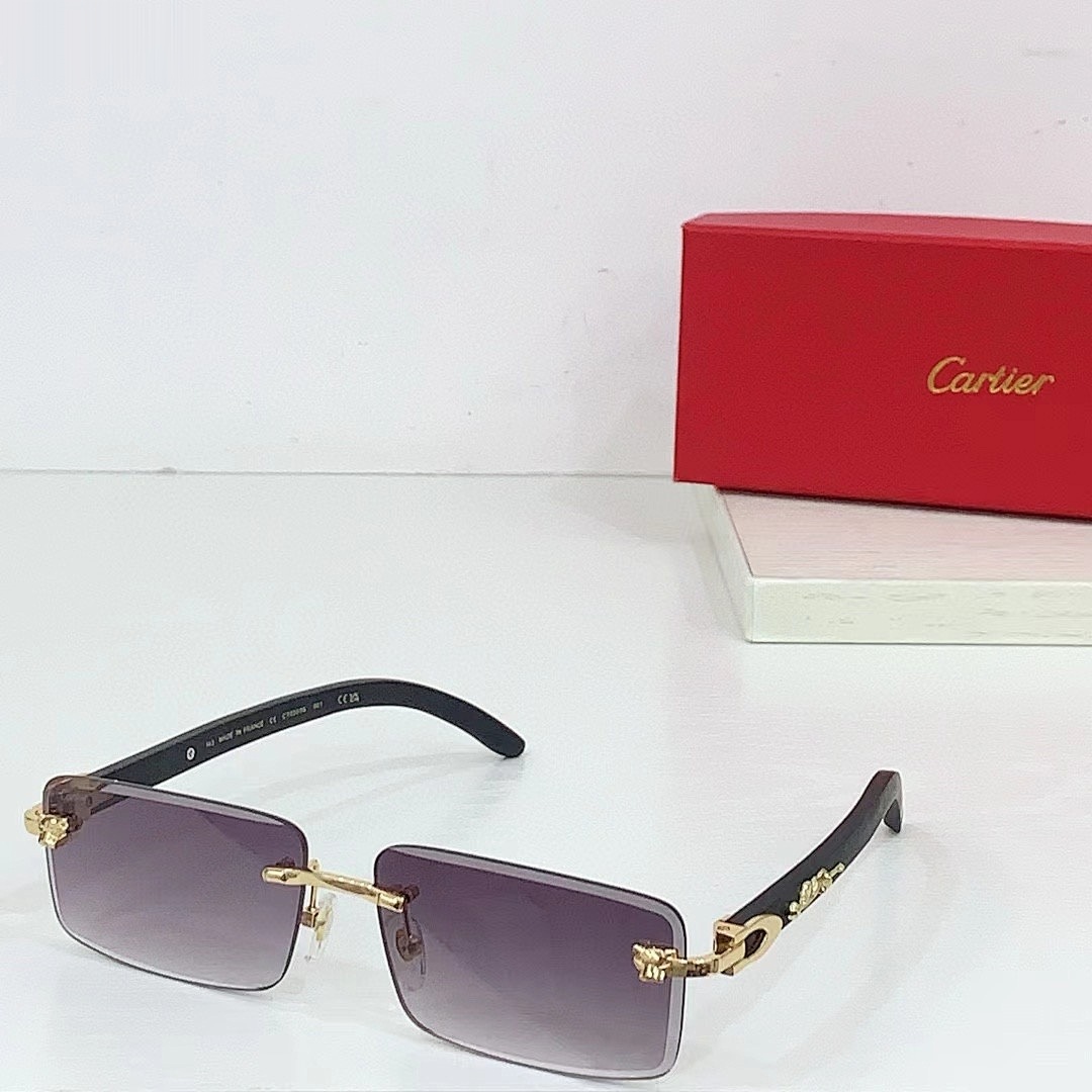 CARTIER - CT0555 - 60-16-143 - Image 6