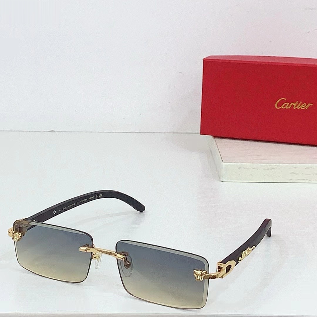 CARTIER - CT0555 - 60-16-143 - Image 7
