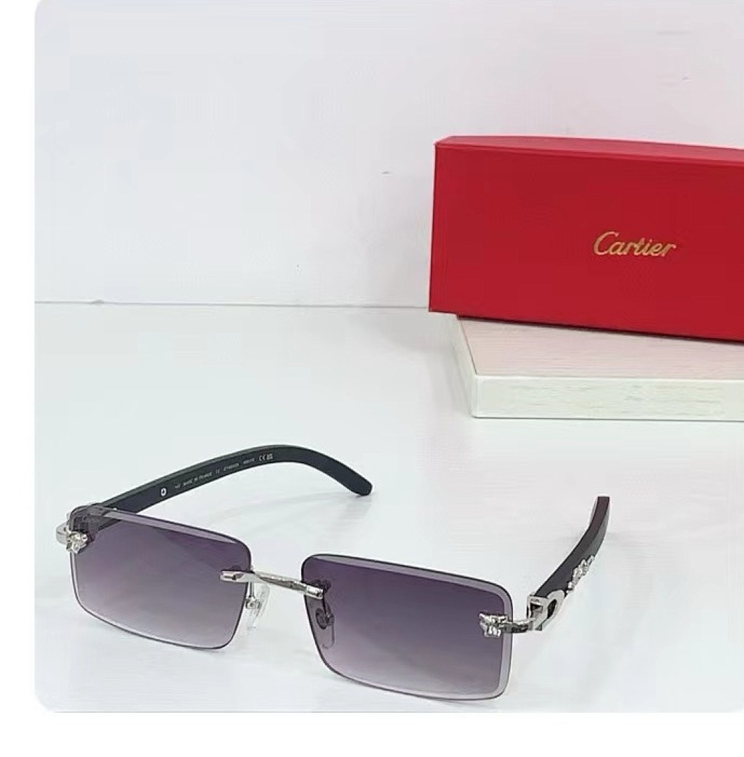 CARTIER - CT0555 - 60-16-143 - Image 8