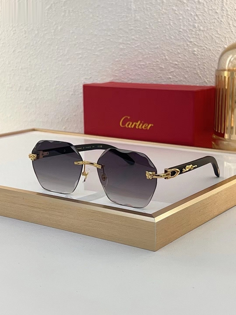 CARTIER - CT0557 - 59-16-140 - Image 6