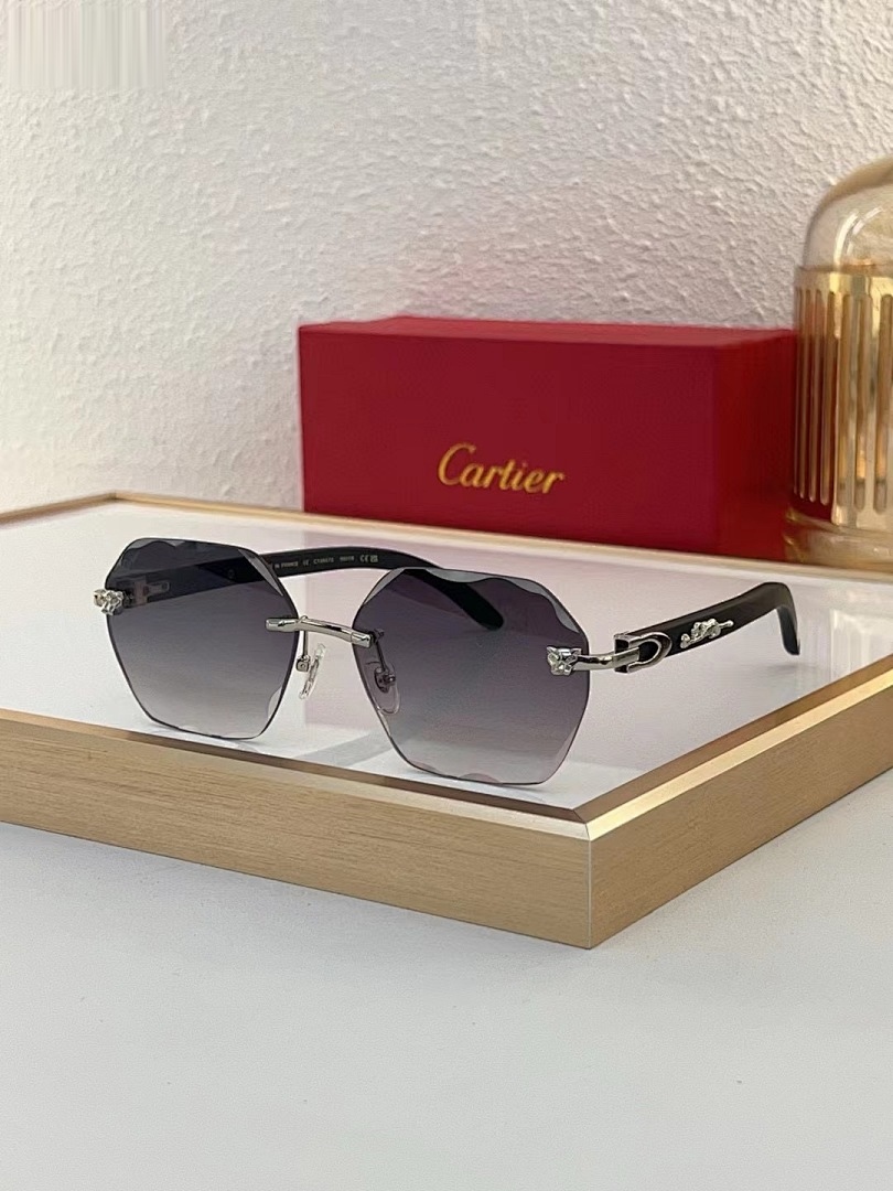 CARTIER - CT0557 - 59-16-140 - Image 8