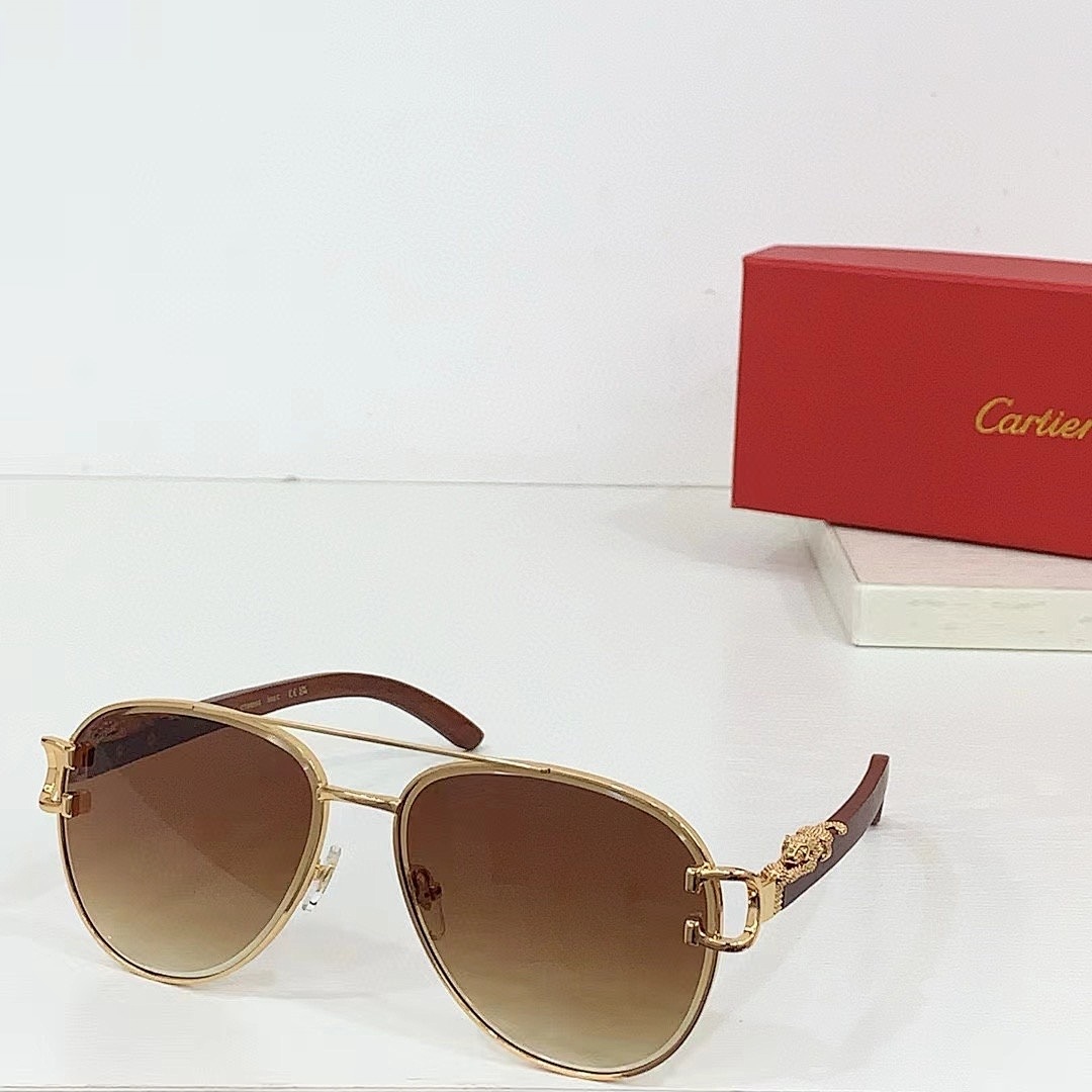 CARTIER - CT0559 - 55-20-143 - Image 4